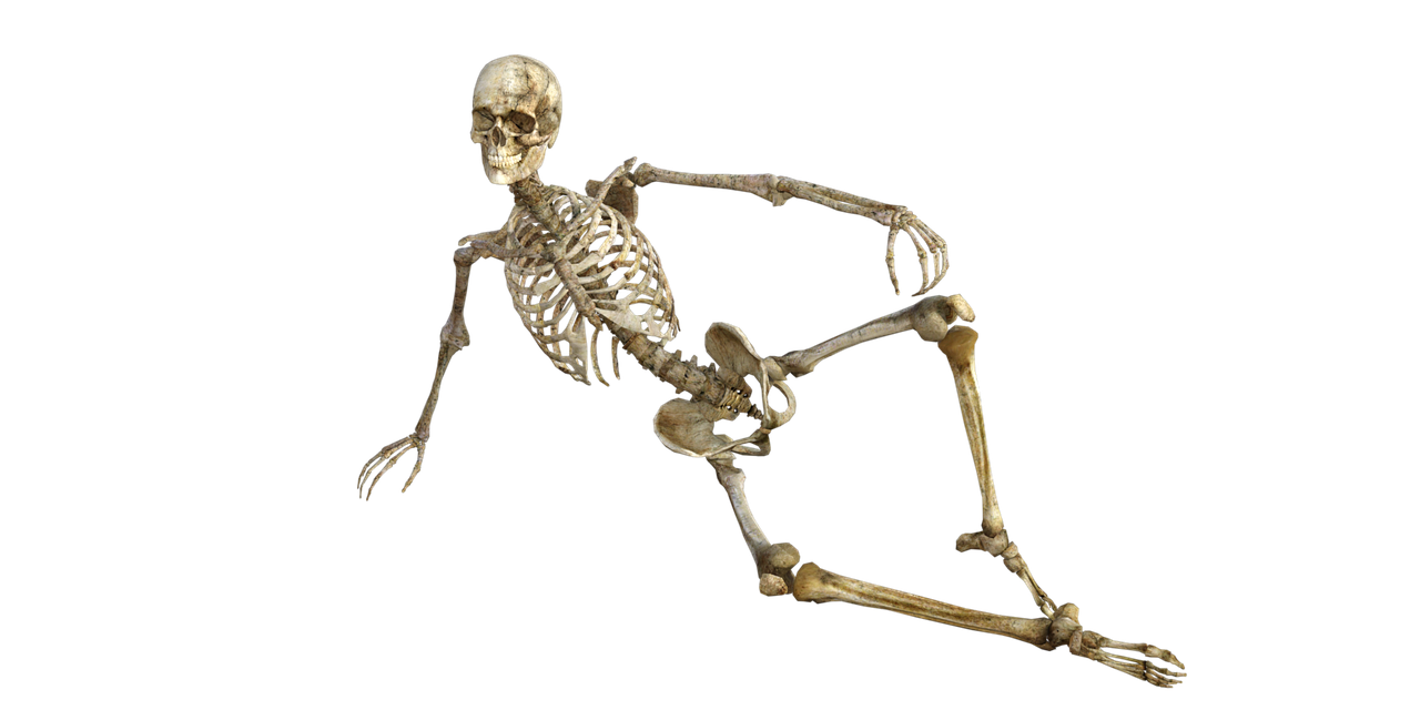骨